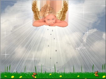 Welcome to Amanda's Dream
